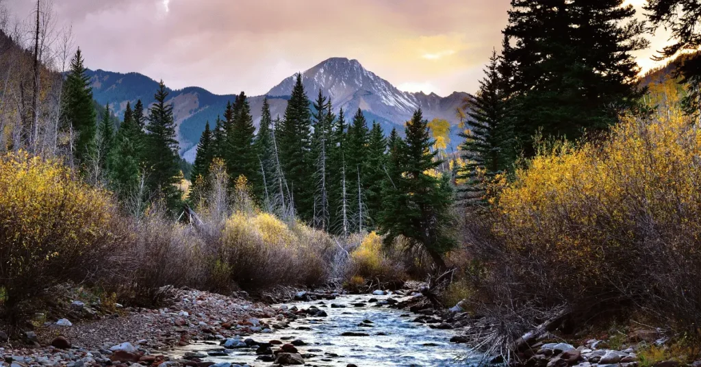 Can You Fly a Drone in a Wilderness Area?