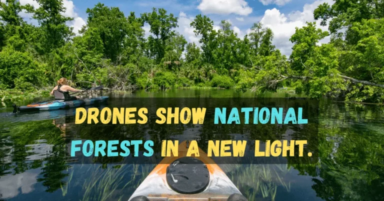 Can You Fly a Drone in a National Forest?