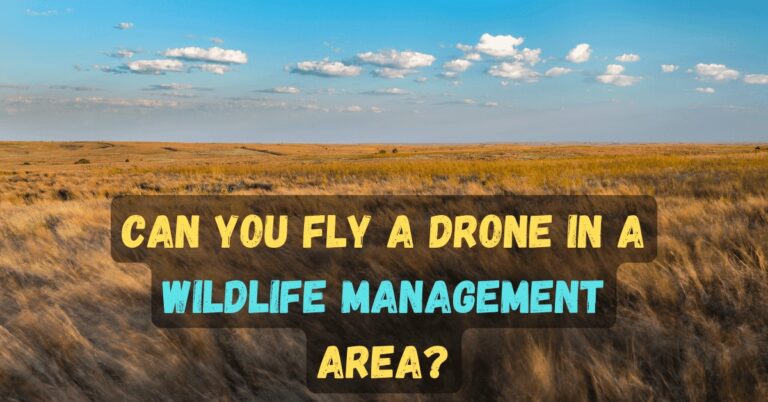 Can You Fly a Drone in a Wildlife Management Area?