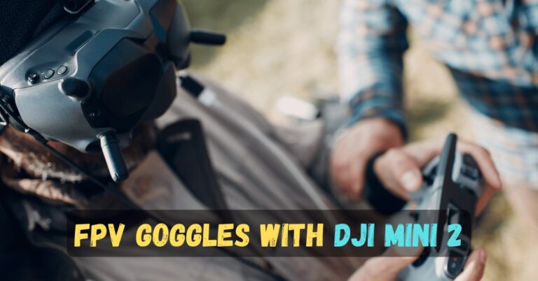 Can You Use FPV Goggles with DJI Mini 2?